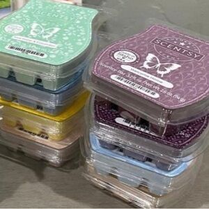 Scentsy Wax Bar - Surprise Scent / Add-On to any Bundle